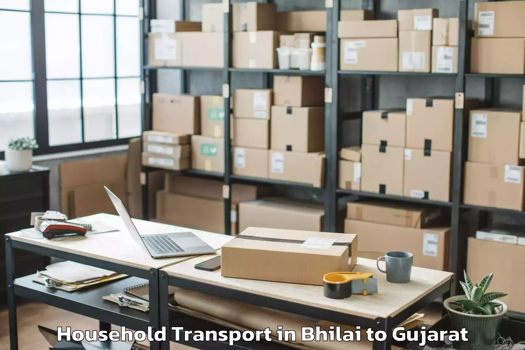 Affordable Bhilai to Killa Pardi Household Transport